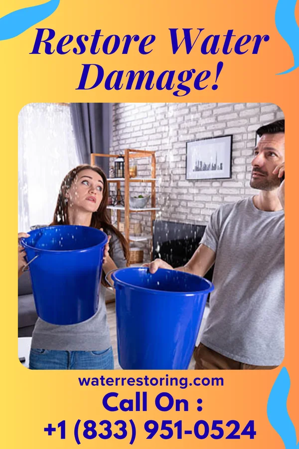 water restoration Empire Mitigation Co Singac