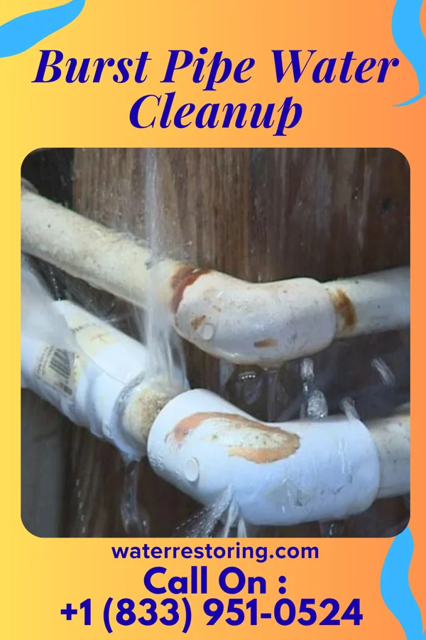 Burst Pipe Water Cleanup in Singac, NJ