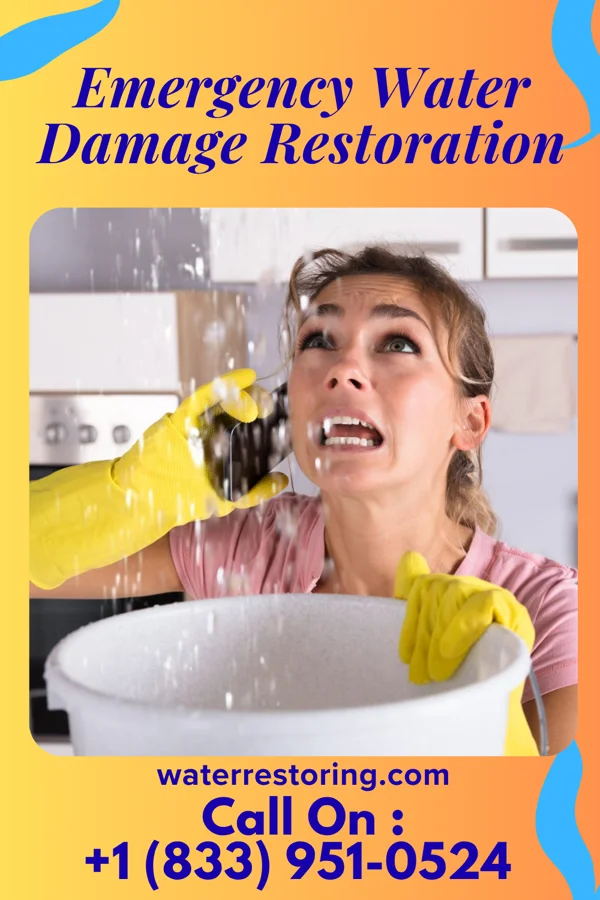 Emergency Water Damage Restoration in Singac, NJ