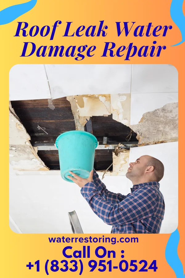 Roof Leak Water Damage Repair in Singac, NJ